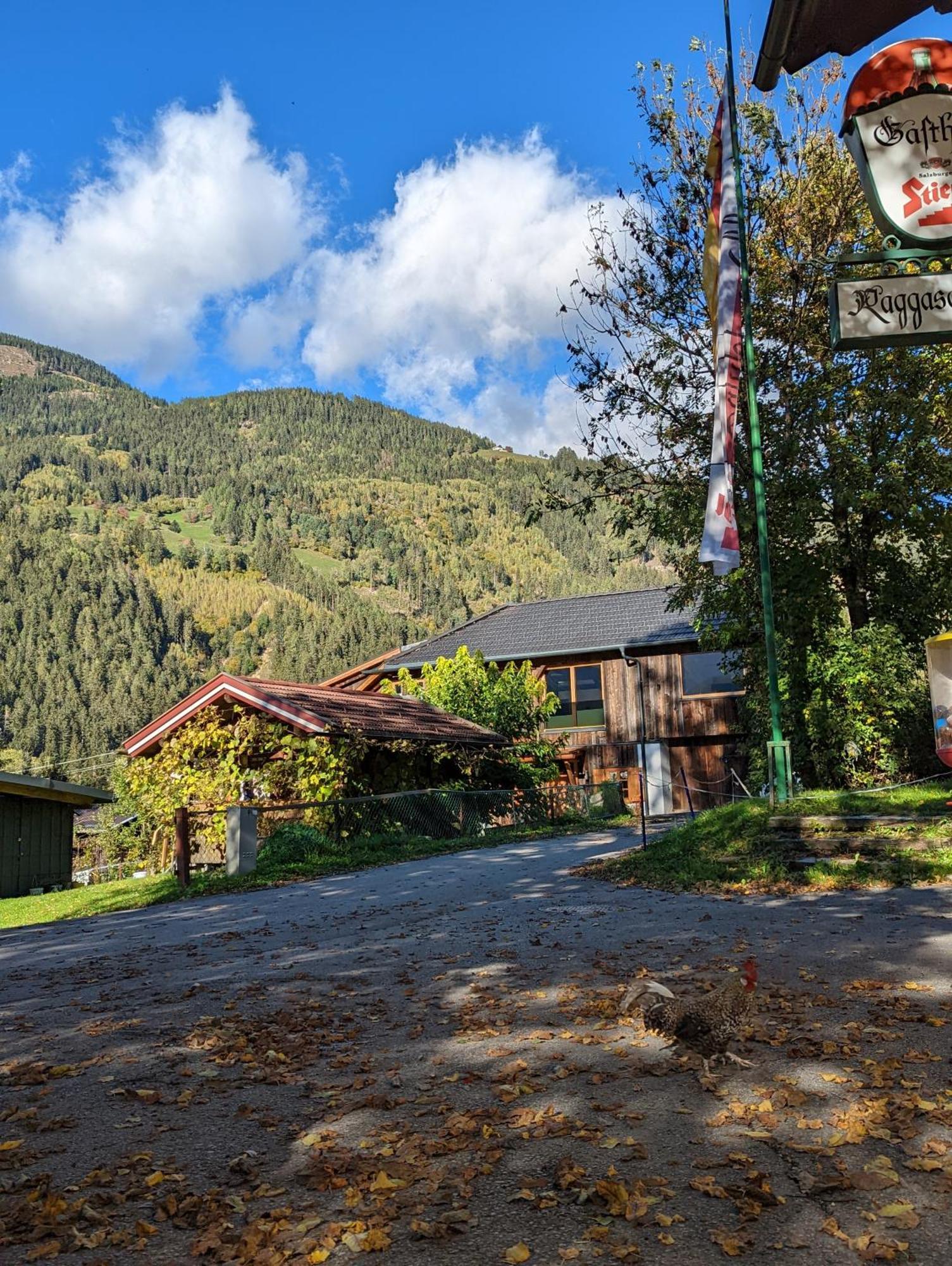 פלאטלאך Chalet Schmelz Huette Mit Sauna Und Garten מראה חיצוני תמונה